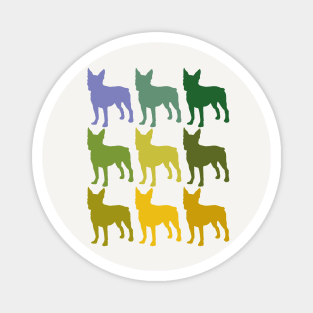 Boston Terrier Dogs in Rainbow Colors Magnet